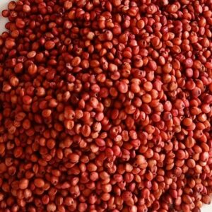 গুয়াতেমালা ঘাস বীজ ১ কেজি মাত্র 700 টাকা